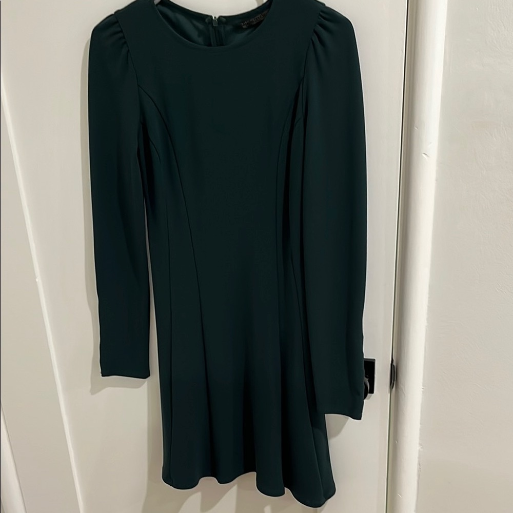 Zara Green Dress with Sleeves